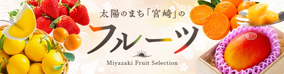【2026年発送先行予約】《数量・期間限定》完熟！宮崎マンゴー 特秀 大玉3Lサイズ 2玉化粧箱入り | マンゴー 宮崎マンゴー 宮崎 完熟 完熟マンゴー 宮崎県産 2玉 500g 1kg フルーツ 果物 くだもの デザート 旬の果物 果実 甘い 特産品 高級 化粧箱 贈答 贈答用 ギフト 贈り物 プレゼント 誕生日 記念日 母の日 父の日 敬老の日 人気 おすすめ |_M183-002_01