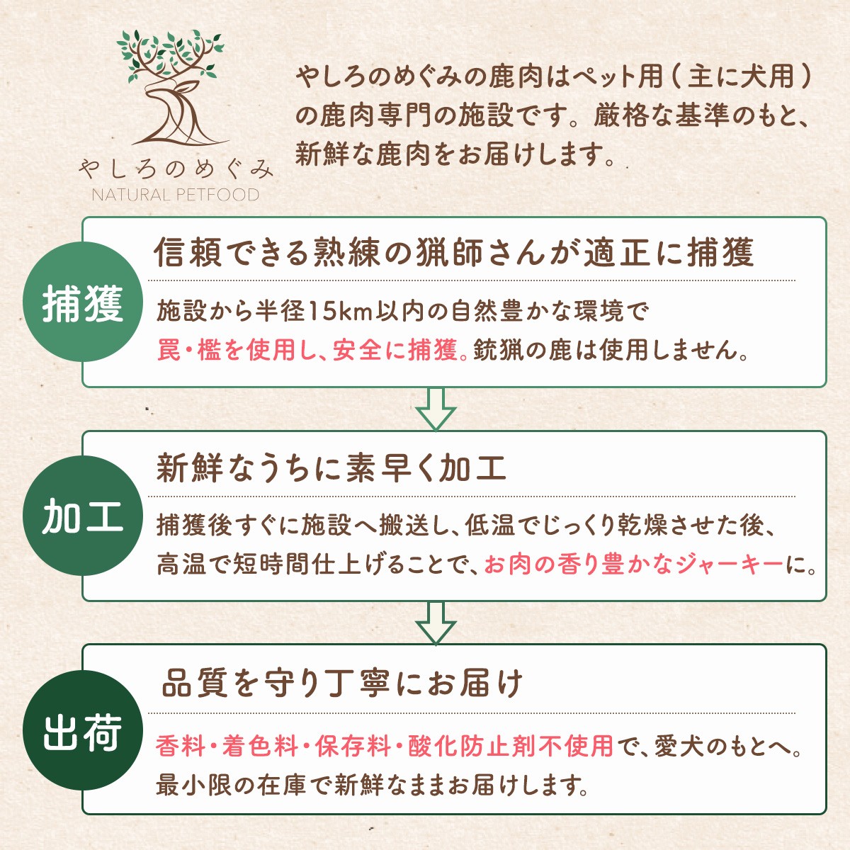 天然鹿皮で作ったデンタルガム 50g / 愛犬用 天然鹿皮 デンタルケア ガム 無添加 おやつ ロール形状 天然コラーゲン 唾液分泌 噛みごたえ 弾力 ストレス発散 国産 ペットフード 鹿肉専門店 やしろのめぐみ