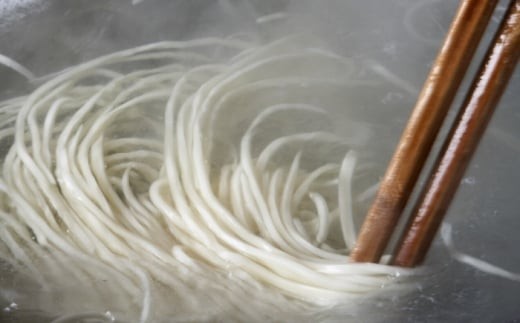 【3回定期便】うどん 岐阜の味 田毎のカレー煮込みうどんセット 即席 カンタン 麺 うどん カレーうどん  カレー カレーライス 煮込みうどん 冷凍 定期便 スパイス 具材付き 簡単調理 時短 鍋不要 水不要 老舗の味 名店 グルメ お取り寄せ ギフト プレゼント 贈り物 贈答 お返し 内祝い お祝い おすすめ 人気 岐阜市 / ラボレムス [ANFP006]