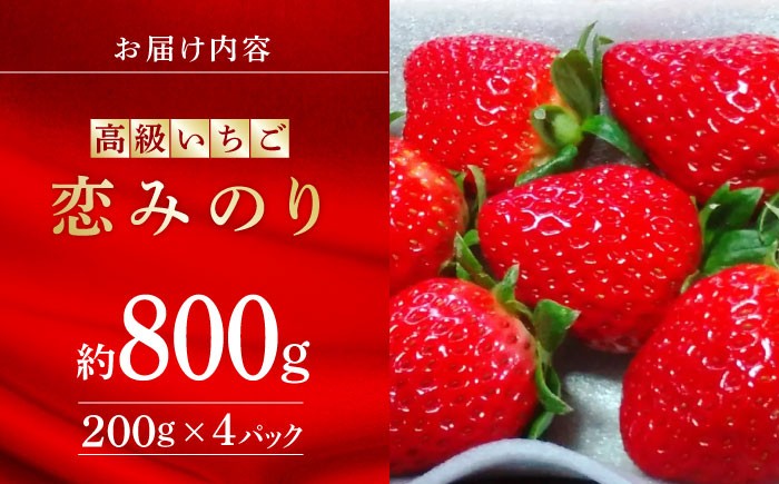 高級 いちご 恋みのり約800g（200g×4pc）【伊藤農園】 苺 イチゴ 熊本県 果物  [ZBB006]