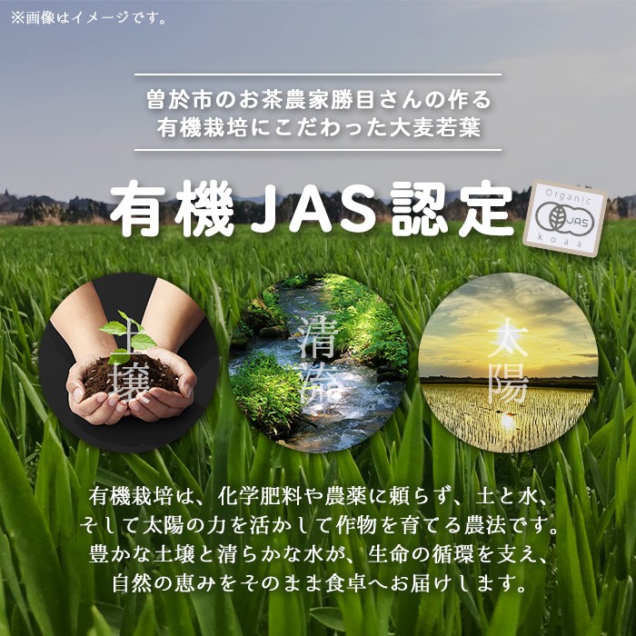 鹿児島県産 有機大麦若葉粉末 (60g×6個・計360g) 国産 大麦若葉 青汁【アグリおおすみ】A156-v01