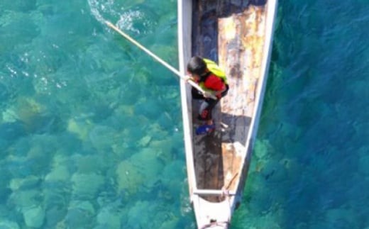 体験チケット 【世界農業遺産】川漁師の長良川体感コース ペア２名様分【操船体験】舟旅 試食 鵜飼 舟旅 文化 伝統 体験 岐阜県 経験 思い出 旅行 チケット おすすめ 人気 2名 ペアチケット 利用券 クルージング 長良川 観光 アクティビティ 自然 漁師 天然鮎 塩焼き 貸切船 家族旅行 ギフト プレゼント 贈り物 贈答 お返し 内祝い お祝い 岐阜市/天然鮎専門 結の舟 [ANBN007]