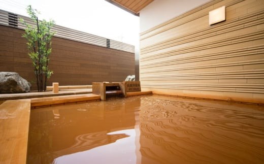 宿泊 岐阜グランドホテル ホテルギフト券 30,000円分 宿泊 レストラン 商品券 金券 チケット 利用券 ホテル 温泉 観光 旅行 食事券 フレンチ 中華 和食 フランス料理 日本料理 中華料理 ディナー ランチ 宴会 温泉 岐阜城 金華山 長良川 贈り物 贈答 お返し 内祝い 誕生日 記念日 おすすめ 人気 岐阜市 / 岐阜グランドホテル [ANFM011]