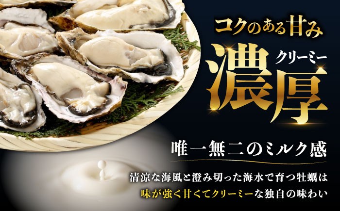 【2月26日（木）発送】江田島ミルク牡蠣 殻付き 10個 加熱用 かき 広島県産 カキ 貝付き牡蠣 海鮮 贈呈用 BBQ 濃厚 新鮮 蒸し牡蠣 焼き牡蠣 グリル焼き 丸杉水産/江田島市 [XCY001] 牡蠣 冷凍 むき身 殻付き 殻付 殻 かき カキ 生牡蠣 広島牡蠣 オイスター カキフライ 魚介類 魚介 貝類 海鮮 広島県産 国産 産地直送 贈答 ギフト 特産品