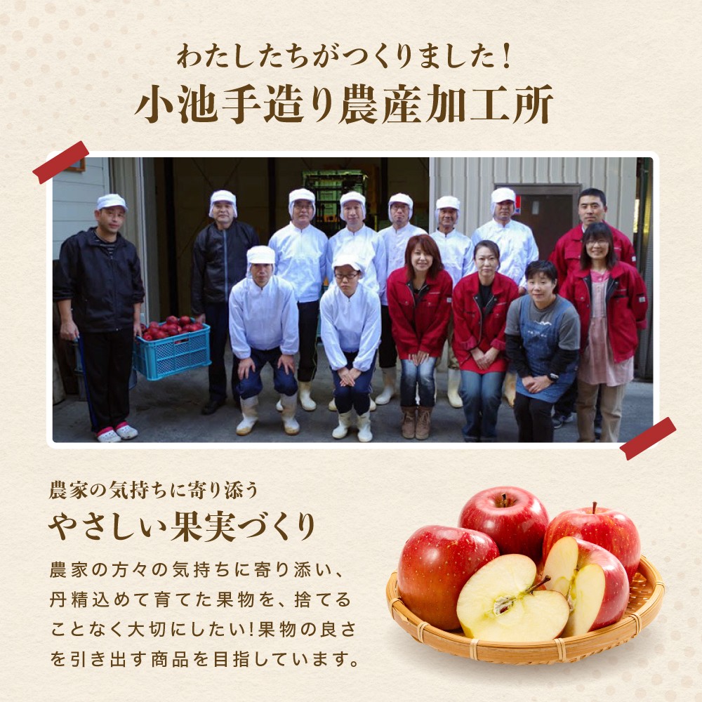すりおろし りんご ジュース 12本 セット | 小池手造り農産加工所 りんご ジュース 国産 手造り てづくり 健康 飲料 長野県 飯田市