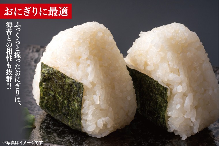 ～農産物直売所「やさいの声」厳選～「行方米物語 - 自然が育んだコシヒカリ５kg」｜米 お米 こめ コシヒカリ ご飯 白ご飯 令和7年産 R7年産 茨城県 行方市(EK-7-2)