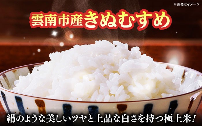 お米 雲南市産きぬむすめ 5kg 米 こめ おこめ はくまい 白米 ライス 精米 コメ 特A 5キロ 使いやすい ごはん ご飯 おにぎり お弁当 朝ごはん 便利 朝食 食卓 主食 グルメ おいしい つや あっさり 飽きない もっちり 食感 上品 国産 新生活 一人暮らし 家族 ご当地 ごはんソムリエ おうちごはん おすすめ 人気 島根県雲南市/有限会社藤本米穀店 [AIDB099]
