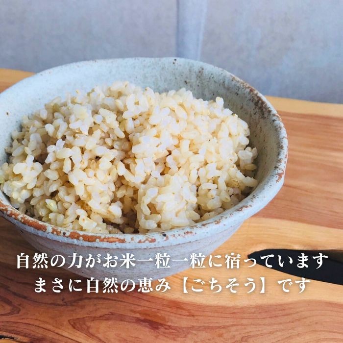 【令和7年産】四万十市産 コシヒカリ 玄米 5kg(栽培期間中農薬・ 化学肥料・除草剤不使用)国産 こしひかり 令和7年産 2025年産 米 おこめ こめ コメ ご飯 ごはん ふっくら もちもち 四国 高知 四万十 しまんと 農薬・化学肥料・除草剤不使用 農家直送 高知県四万十市産 蕨岡の百姓 福留壯 オーガニック 25-0015