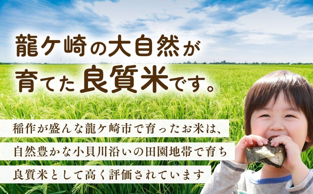 ＜3ヵ月定期便＞コシヒカリ(精米10kg) 【茨城産：令和7年産】お米マイスターセレクトこしひかり | こしひかり コシヒカリ 10kg おこめ お米 ごはん 米 白米 ご飯 コシヒカリ お米マイスター 厳選米 人気 茨城県産 産地直送 精米 国産 おすすめ 甘みが強い ふっくら 艶やか 茨城県 龍ケ崎市