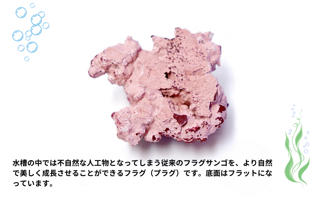 【ハンドメイド】フラグプラグロック 約10個入り サンゴ 海水魚飼育 人工ライブロック 新潟県 出雲崎町