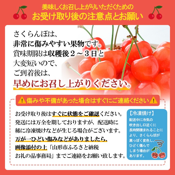 【定期便3回】農家さんおすすめ～人気くだものトップ３！【令和8年産先行予約】FU23-702 くだもの 果物 フルーツ 山形 山形県 山形市 2026年産