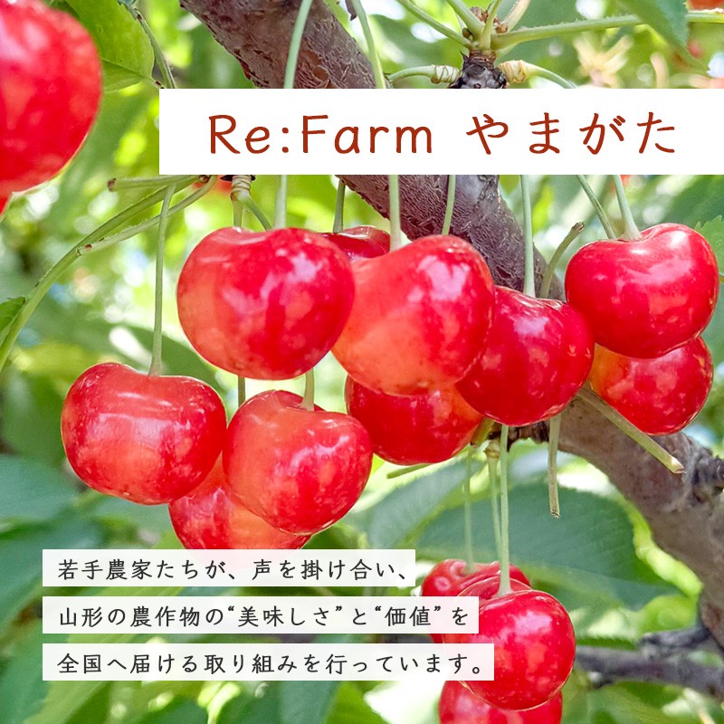 【先行予約】 令和8年産 さくらんぼ 紅秀峰 Lサイズ以上 秀品 720g ご家庭用( 180g×4パック) 2026年産 山形県産【2026年6月中旬頃~7月中旬頃発送予定】※配送不可 沖縄・離島 017-A-RF002