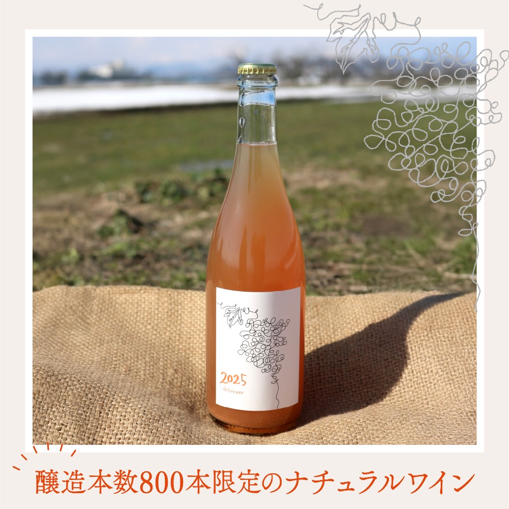 【河北町産ぶどう100%使用・微発泡デラウェアワイン】Delaware 2025(750ml×1本)【かほくらし社】 ワイン デラウェア 贈答 100% ナチュラルワイン ka019-012j001-2025