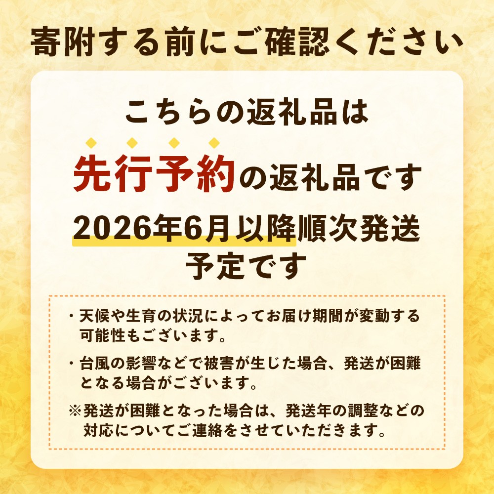 【先行予約・数量限定!】国産パイナップル 約3kg(3~5玉)~なか農園おまかせセット~ NK-001|パイナップル パイン フルーツ 果物 くだもの 先行予約 数量限定 産地直送 新鮮 旬 ハワイ種 ピーチパイン ゴールドダイヤモンド ボゴール なか農園 鹿児島県 南大隅