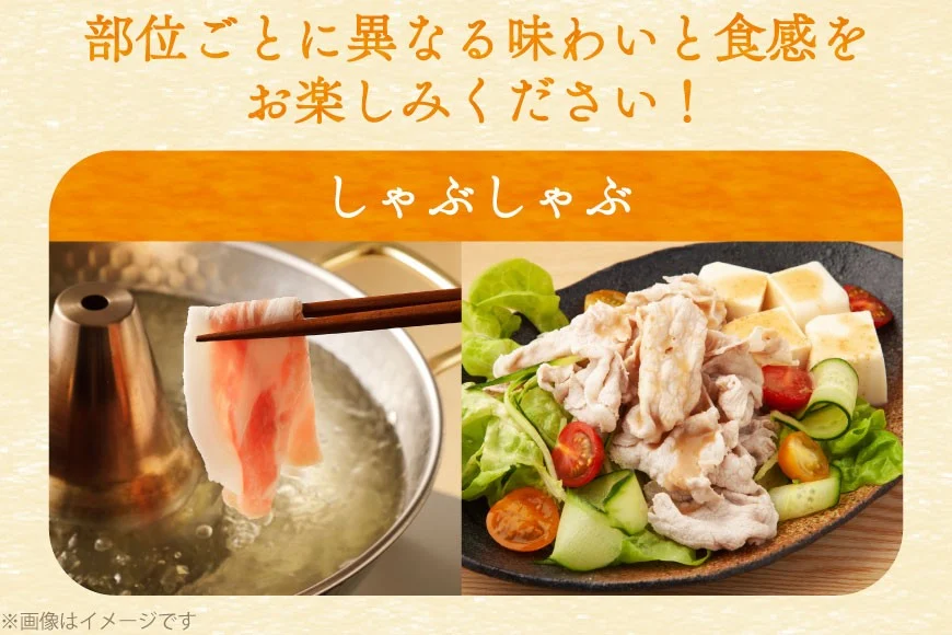 豚肉 バラエティ セット 計1.5kg 6回 定期便 [司フーズ・システム 兵庫県 三田市 3d28bdy500019] 豚 肉 とんかつ 小間切れ バラしゃぶ 豚こま肉 豚コマ 小分け 真空パック