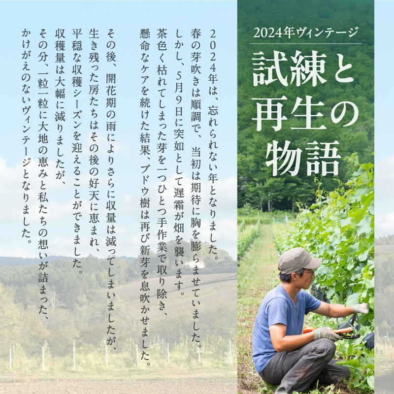 【大坪農園】TONOTO VINEYARD　トノトの白　2024（東川ワイン）