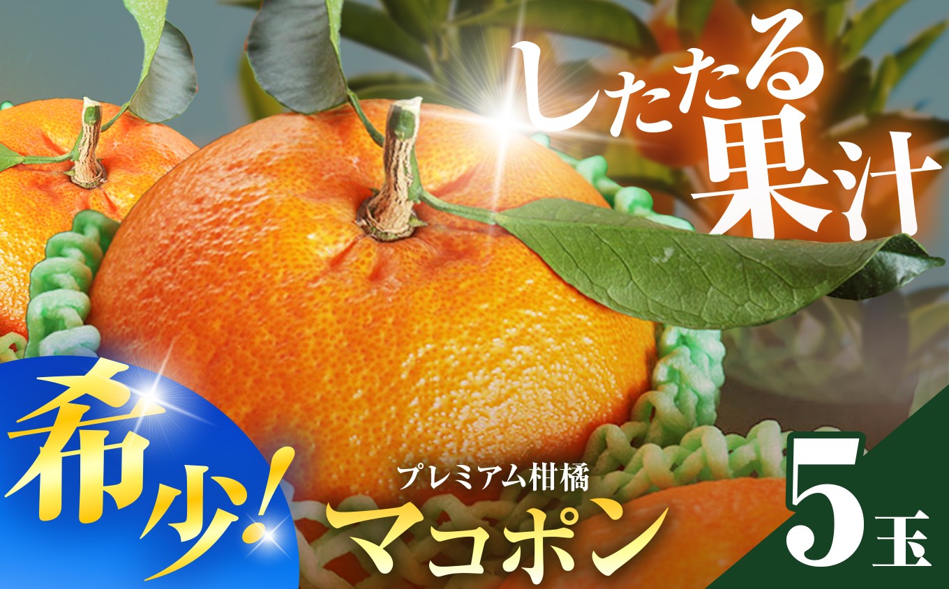 【先行予約】紅モンスター マコポン5玉 | フルーツ 果物 くだもの 果実 柑橘 柑橘類 まこぽん マコポン オレンジ ゼリーオレンジ 不知火 国産 中津市産 産地直送 大分県 中津市