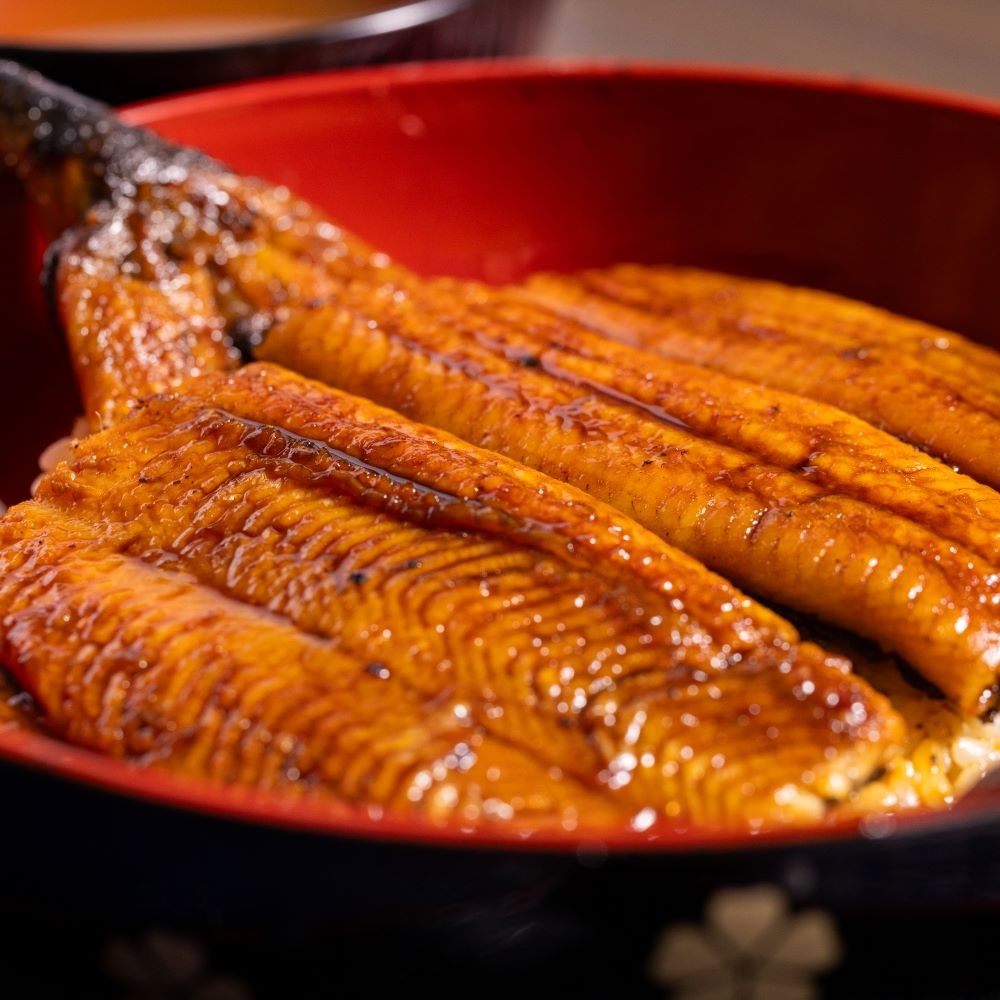 高知県産蒲焼きうなぎ ２００ｇ ５０尾 計１０kｇ - 国産 鰻 ウナギ 養殖 かばやき タレ付き うな重 うな丼 たれ おつまみ スタミナ 土用の丑の日 うな丼 うな重 丼ぶり 一品 おかず うなぎ蒲焼 fb-0190