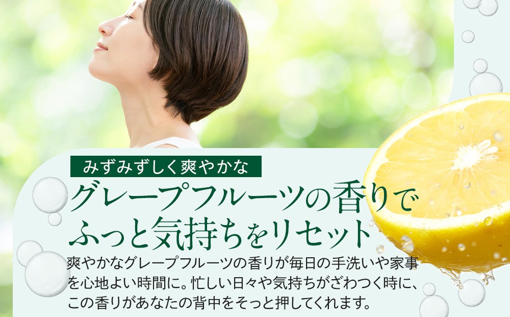 【テレビで紹介されました！】バーデンス　ボディシャンプーB　500ml＆400ml(詰替え)【Badens ボディソープ ハンドソープ 敏感肌 弱酸性 保湿 低刺激 スキンケア 美容 ふるさと納税 大阪 堺市 TV】