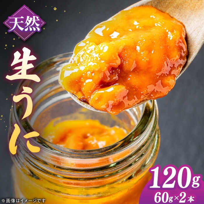 【先行予約】生うに 60g×2本 壱岐産【2026年5月以降順次発送】《壱岐市》【馬渡水産】[JAQ010] 生ウニ うに ウニ 雲丹 紫うに ムラサキウニ 海鮮 鮮魚 長崎県 瓶詰 ビン 珍味 丼 冷蔵 天然 30000 30000円 3万円