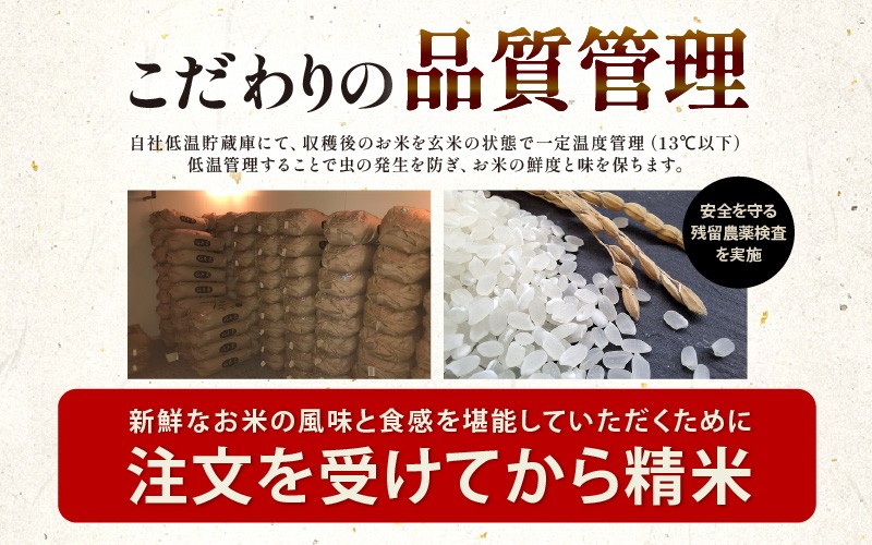 【先行予約】【令和8年産・新米】 定期便 ≪12ヶ月連続お届け≫ 坂井市産 にじのきらめき 白米 10kg (5kg×2袋)×12回 計120kg (田中農園) 【2026年10月以降順次発送予定】 定期便 米 こめ お米 おこめ コメ ご飯 ごはん 精米 ブランド米 国産 [O-20501]
