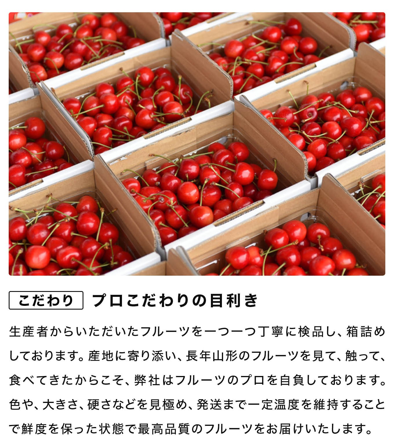 先行予約 さくらんぼ 紅秀峰 秀Lサイズ 720g (180gx4パック) 6月中旬~7月上旬頃発送 フードパック 令和8年産 2026年産 山形県産 ns-bsslp800