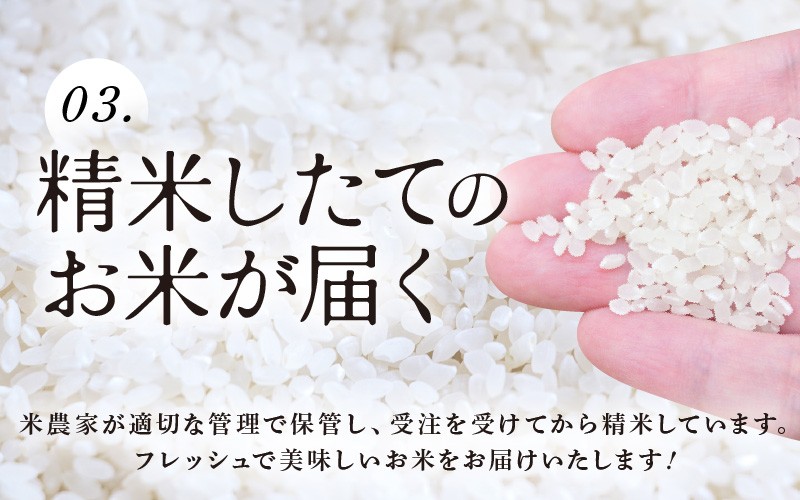 【先行予約】【令和8年産・新米】 定期便 ≪3ヶ月連続お届け≫坂井市産 ハナエチゼン 白米 5kg×3回 計15kg (中瀬農産) 【2026年10月以降順次発送予定】 【米 こめ お米 精米 ブランド米 華越前 国産】 [B-20502]