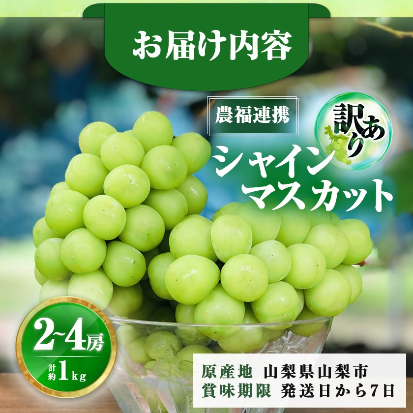 2026年先行受付＜見た目は訳あり?味は満足!＞農福連携シャインマスカット計1kg＜ご家庭用＞【1679907】