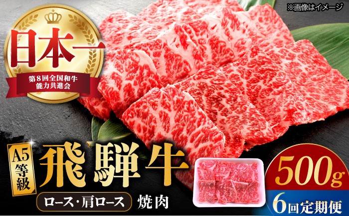 【6回定期便】 飛騨牛 焼肉用 ロース・肩ロース 500g A5等級 和牛 ブランド牛 国産 牛肉 多治見市 / 渡辺精肉店 [TAZ032]