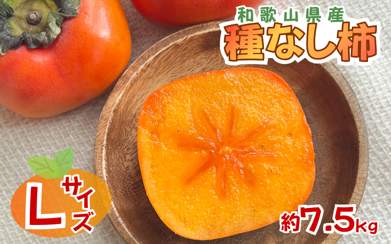 採れたてタネなし柿“Lサイズ” 約7.5kg【2026年10月中旬～10月下旬頃発送予定】【ART17】