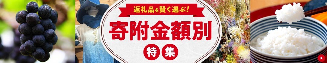 【スピード発送】白ワイン 燦來 ~きら~ KIRA 750ml×6本 白 ワイン 受賞 ギフト 国産 おすすめ 醸造 お酒 地酒 洋酒 広島県三次市産 ぶどう 葡萄 ブドウ フルーツ フルーティ ご当地 記念日 誕生日 人気 おつまみ 飲み比べ 日本ワイン 送料無料 定期便 三次 お中元 酒 辛口 記念日 日本ワイン ワインセット 三次市 / 広島三次ワイナリー [APAZ126]