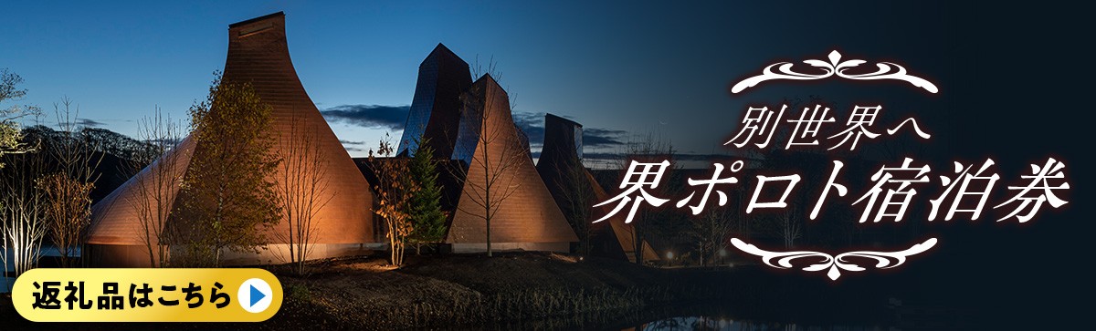 【定期便 3カ月】 北海道 白老産 黒毛和牛 リブロース すき焼き 500ｇ (2・3人前)