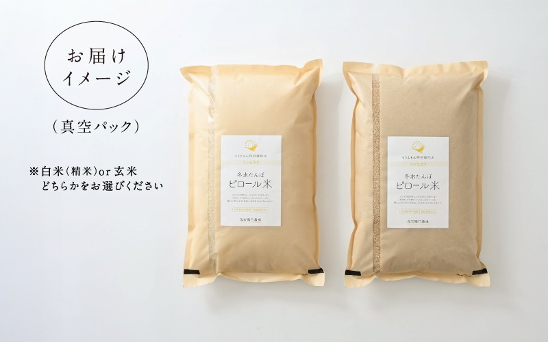 【令和7年産】ピロール農法 コシヒカリ精米5kg  真空パック [C-08204a] / 白米 玄米 定期便 福井 特別栽培米 ピロール米 お米 コシヒカリ こしひかり