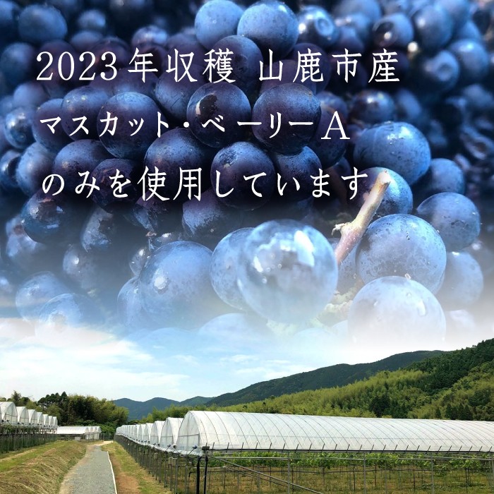  赤ワイン・辛口　マスカット・ベーリーA「山鹿」750ml ギフト箱入り わいん【菊鹿ワイナリー】 [ZFB001]