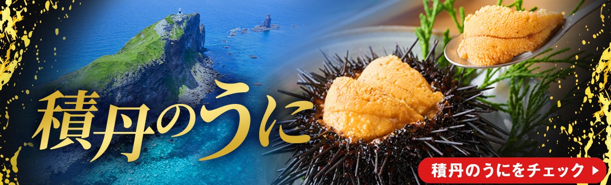 【2026年3月下旬以降発送】北海道産 完熟よつぼし苺(約250g×10パック)