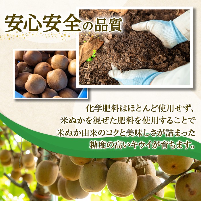 <先行予約受付中!2026年10月以降順次発送予定>【訳あり】茨城県産 黄色いキウイ 9.2kg 訳あり 訳アリ キウイ キウイフルーツ 果物 フルーツ 青果物 先行予約【こばしファーム】【ho1650】