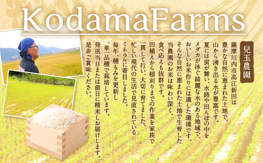 【奇数月6回定期便】【2026年11月上旬以降 奇数月に順次発送】【先行予約】【KODAMAFARMS】あきの舞 5kg×6回(計30kg)KODA米 お米 米 お弁当 おべんとう おにぎり にぎり 定期便 鹿児島県 薩摩川内市 HS-801