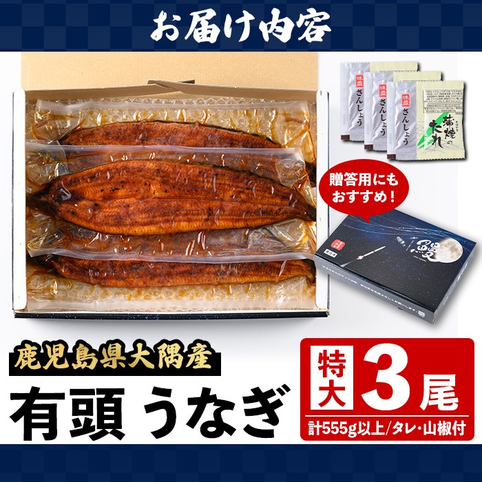 B57006 特大うなぎ蒲焼(有頭)(3尾・計555g以上、タレ、山椒付) 鹿児島 国産 九州産 大隅産 鰻 うなぎ ウナギ 蒲焼き うな重 うな丼 ひつまぶし 丑の日 土用の丑の日 化粧箱 贈答 【一般社団法人きもつき宇宙協議会】
