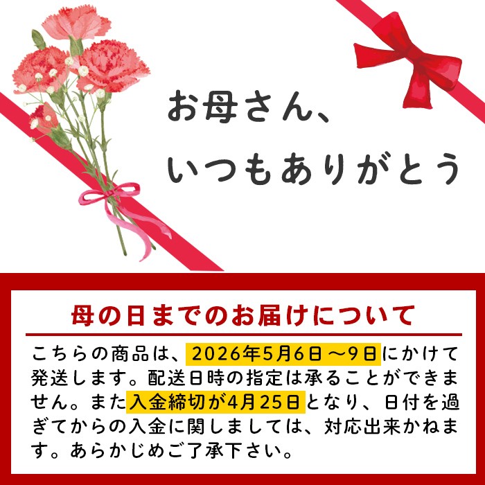 ＜先行予約受付中！2026年5月6日～9日に順次発送予定＞＜母の日ギフト＞柴田ポットカーネーション (赤色系・5号鉢)  母の日 プレゼント ギフト 花 鉢植え プレゼント フラワーセット 【しばたの未来】 sh017-A