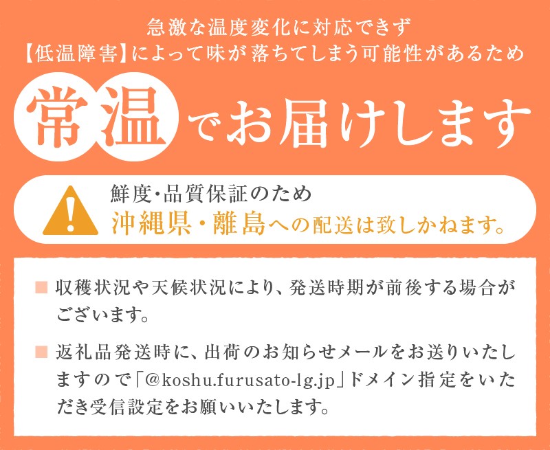厳選!山梨県甲州市産 ころ柿 枯露柿 甲州百目 小3号箱 約600g【2026年度発送】(THR)B-806