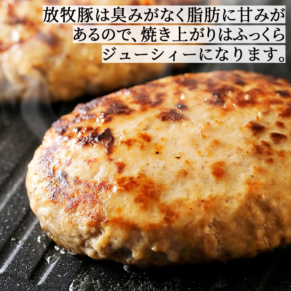 十勝しんむら牧場 放牧豚 ハンバーグ ソーセージ セット 計1380g 北海道産 豚 肉 豚肉 冷凍 ［020-S61］