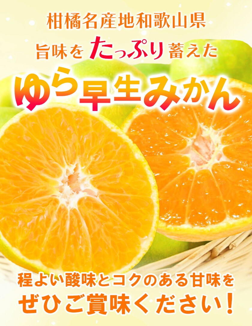 【極早生みかんの逸品】紀州和歌山県産ゆら早生みかん 約5kg 日高町厳選館 《10月中旬-11月中旬頃出荷》 和歌山県 日高町 みかん 柑橘 早生 st-p