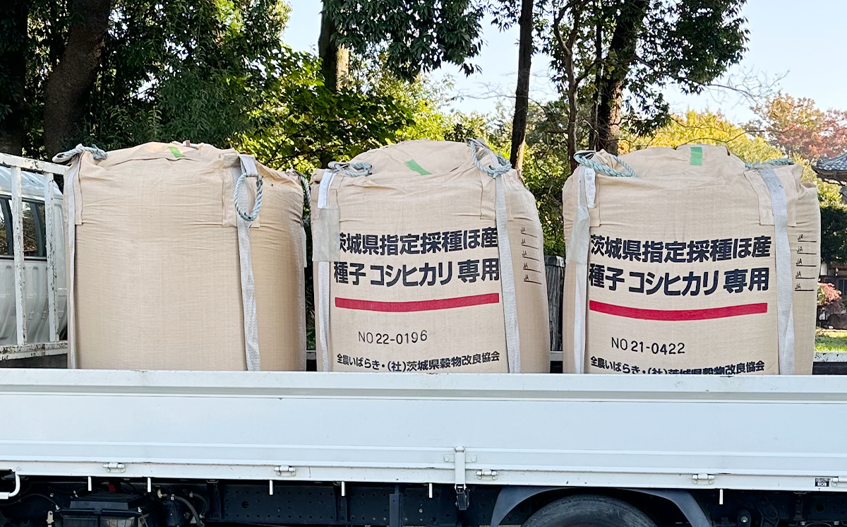 【 6ヵ月 定期便 】令和7年産 コシヒカリ10kg │ 米 こめ こしひかり ご飯 白米 精米 10キロ 2025年産 茨城県産 茨城県 つくば市