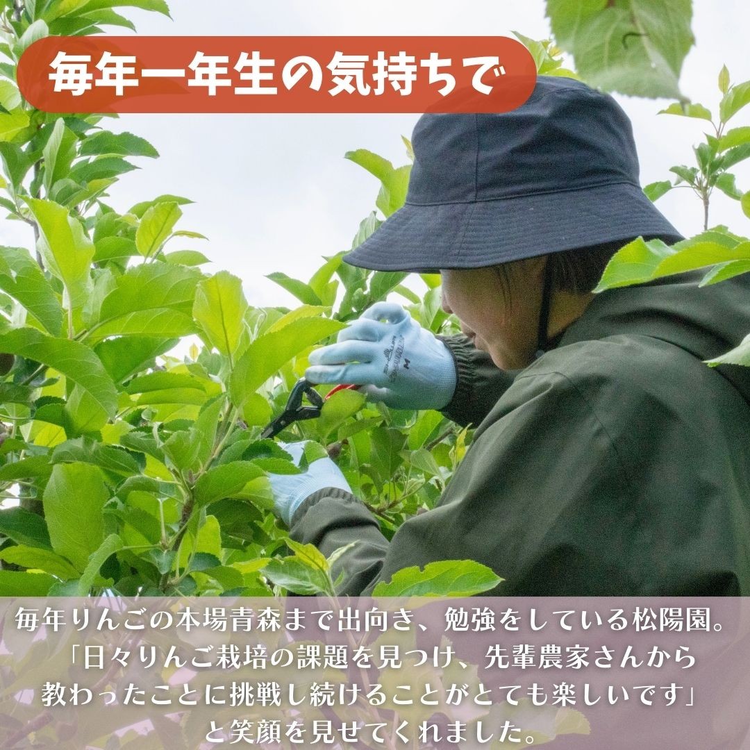 りんご サンふじ 3kg 松陽園 岩手県 遠野市 樹上完熟 農家直送 ご贈答 お歳暮 東北 リンゴ 【先行予約：2026年11月下旬頃発送予定】