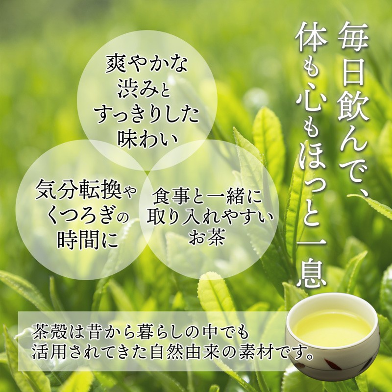 舞鶴茶 ティーバッグ 51杯分 ほうじ茶＆煎茶 | 舞鶴茶 京都府 舞鶴市 お茶 由良川茶畑 かぶせ茶 植和田園 ほうじ茶ティーバッグ 煎茶ティーバッグ 国産茶葉