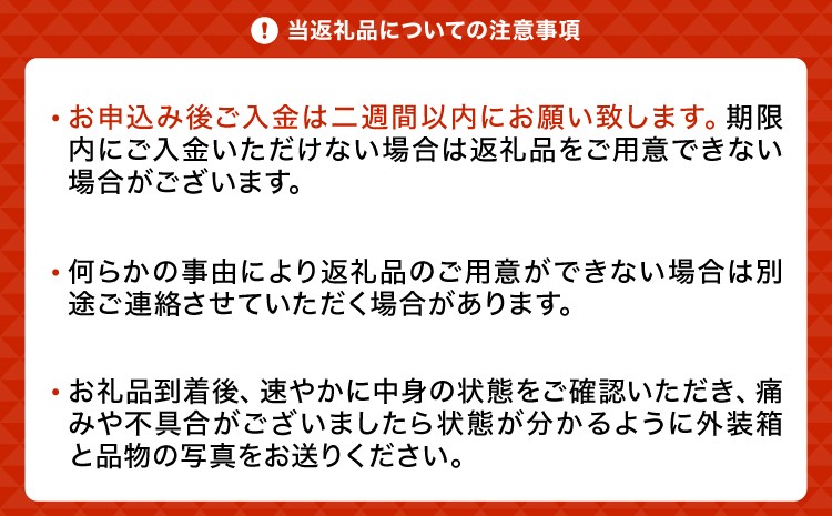 先行予約 黒いシャインマスカット 富士の輝 1房(約500g)【2026年8月上旬から8月下旬発送予定】 清水果樹園 シャインマスカット マスカット ブドウ ぶどう 熊本県 宇城市