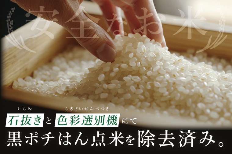 【3ヶ月定期便】茨城県産にじのきらめき 精米 15kg|精米 定期便 お米 米 こめ コメ ごはん 白米 阿見町 茨城県 茨城県産 茨城県産米 安心 安全 送料無料 国産 人気 数量限定 高評価(85-111)