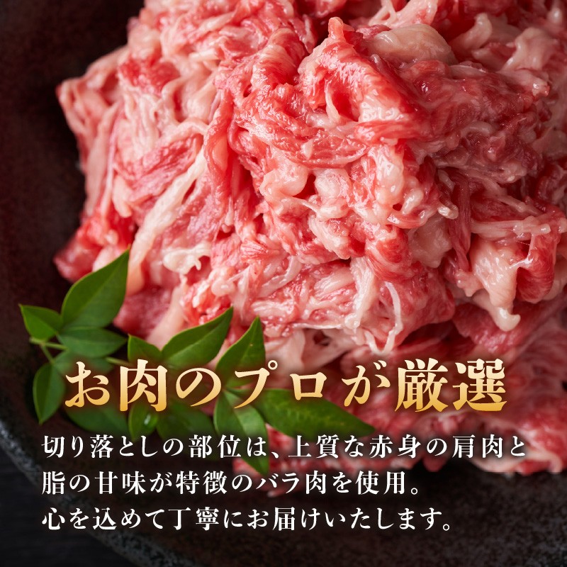 【厳選部位 A4~A5】訳あり!博多和牛切り落とし 500g 牛肉 牛肉 500g 牛肉 切り落とし 牛肉 切り落とし 訳あり 牛肉 切り落とし 500g 博多和牛 博多和牛 500g 博多和牛 切り落とし しゃぶしゃぶ すき焼き 肩 バラ 国産 牛肉 A4 A5 厳選部位 化粧箱 福岡県 八女市