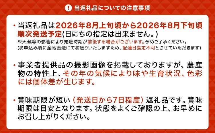 先行予約 黒いシャインマスカット 富士の輝 1房(約500g)【2026年8月上旬から8月下旬発送予定】 清水果樹園 シャインマスカット マスカット ブドウ ぶどう 熊本県 宇城市