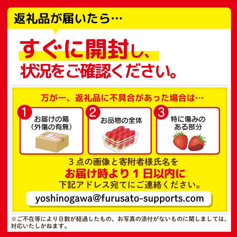 いちご 紅ほっぺ 4パック 1080g  ( 2026年 3月 発送開始 ) 期間限定 人気 果物 フルーツ 新鮮 旬 冬 春 ケーキ ショートケーキ デザート ギフト 贈り物 贈答 イチゴ 苺 ストロベリー 徳島県 吉野川市 あんいちご園